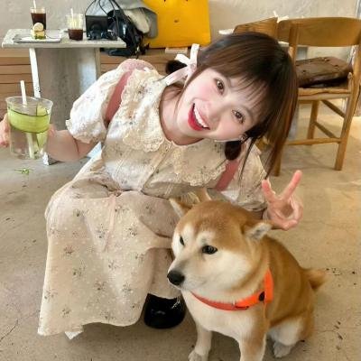 女贼金丝猫