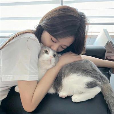 纵有疾风起